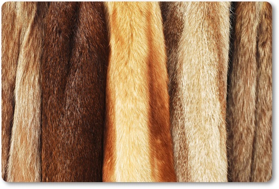 �є甃��b�a�̎R���ō�������E���z����Ȃ�R�R�������I